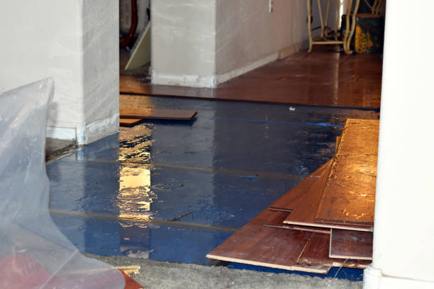 Professional Burst Pipe Cleanup technician working in Hartland, MI