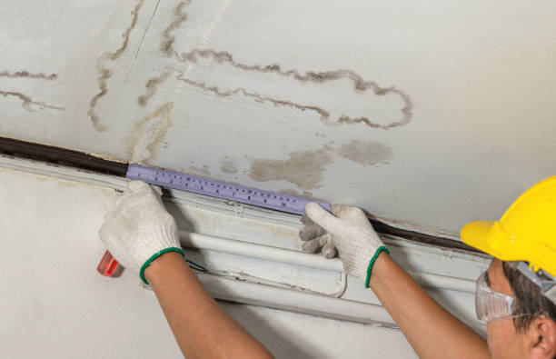 Reliable Burst Pipe Cleanup contractor in Hartland, MI by Water Damage Irwin